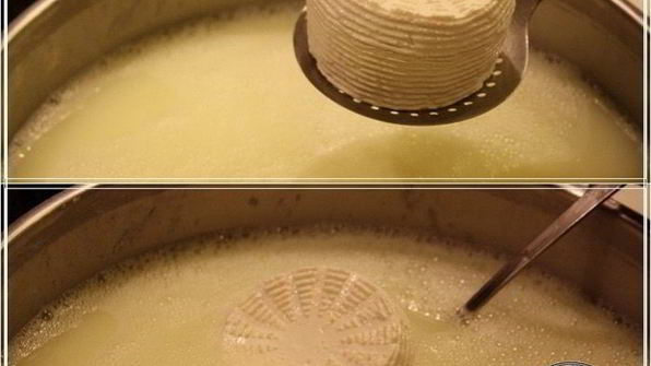 сыр халуми и анари из молока англо-нубийских коз