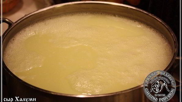 сыр халуми и анари из молока англо-нубийских коз