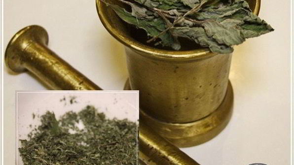 сыр халуми и анари из молока англо-нубийских коз