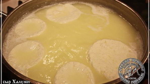 сыр халуми и анари из молока англо-нубийских коз