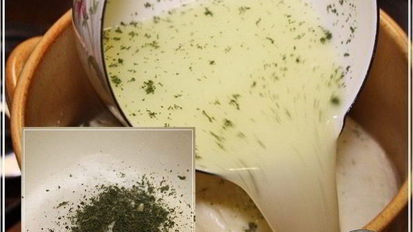 сыр халуми и анари из молока англо-нубийских коз