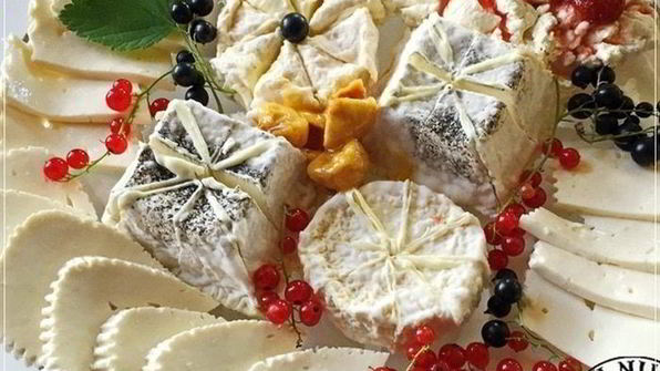 сыр халуми и анари из молока англо-нубийских коз