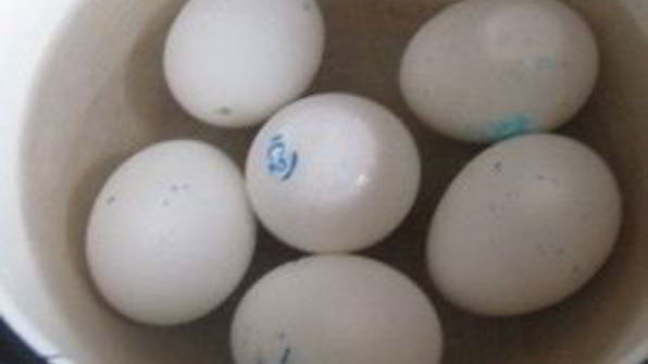 тарталетки с языком