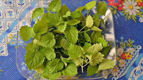 тарталетки вкусный пикник