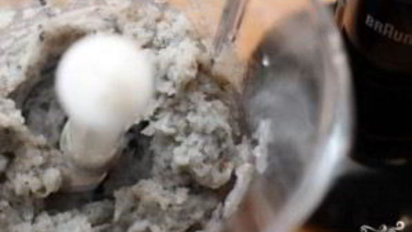 креветочные тосты