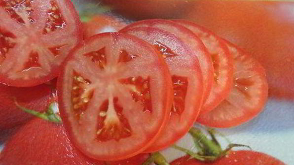 тосты с кабачком и томатами