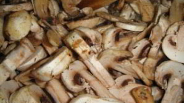 тосты с сыром и грибами