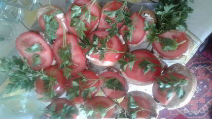 Тосты с томатами