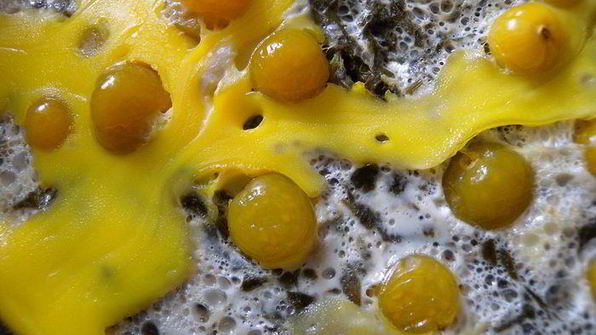 веселые яичницы