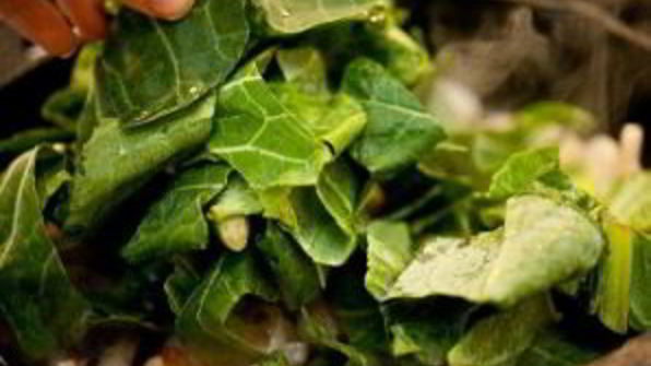 яичница с брынзой