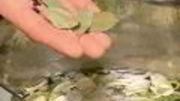 закуска из белой рыбы со свеклой