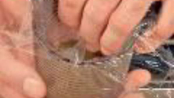 закуска из белой рыбы со свеклой