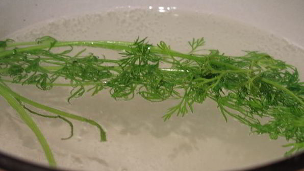 закуска свечи