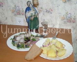 Закуска запорожская