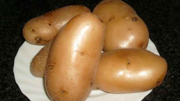 закуска запорожская