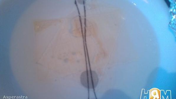 сильно рыбное заливное