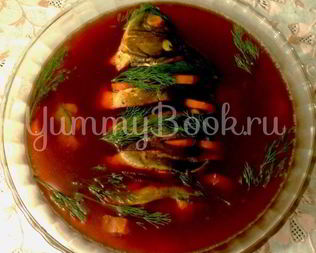 Заливное из карпа с буряком