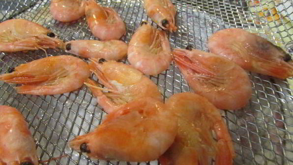 заливное из судака и креветок