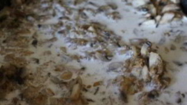 жульен с кабачками